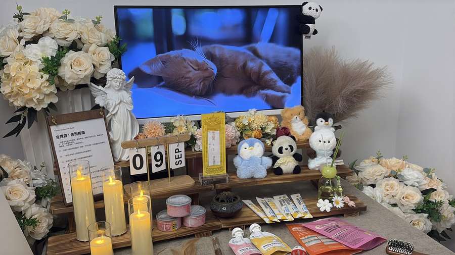 六安宠物告别厅